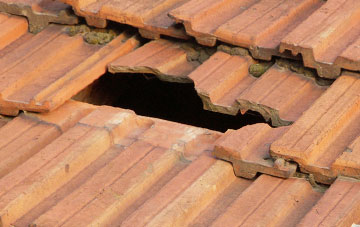 roof repair Stoke St Milborough, Shropshire
